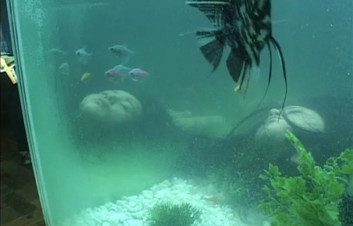 罗泓轸新片《希望》入围戛纳主竞赛，黄晸珉赵寅成主演|黄海|韩星国际阵容|追击者|电影节|迈克尔·法斯宾德