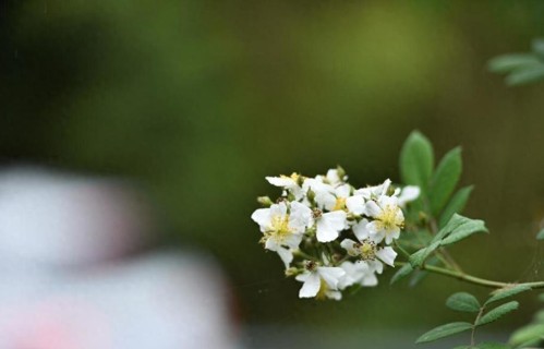 恶劣的环境，只会无尽消耗，再强大也没用，所以，离开是最好选择