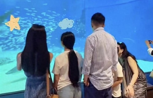 状态大变！小玥儿刻意保持距离，对比弟弟小箖箖反差太明显