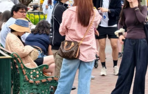 洛杉矶迪士尼游客偶遇刘亦菲|茜茜公主|帽子