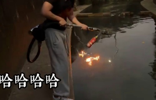 星二代孙安佐因制作武器被抓，其母狄莺痛哭：“他是善良好孩子”
