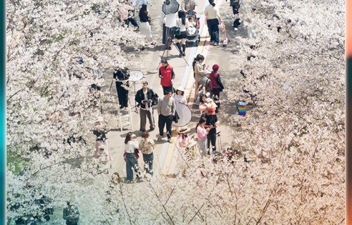 莫文蔚唱响长沙烟火,岁月种花静待花开|Karen|岁月里的花|播放器|心情|鲜花