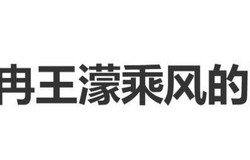 谢娜说王濛和李小冉:“你们是乘风的沈腾马丽”