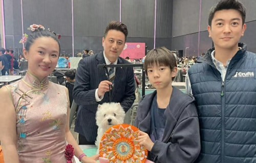 从“嫁得好”到“做得好”：霍思燕用45年撕掉了女性最大的枷锁 