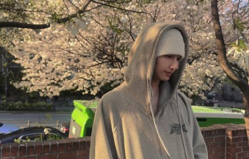 为什么文俊辉每年坚持发布樱花照，这对他和粉丝来说有什么特殊意义？