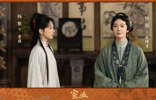 《家业》反派田绛月出圈 杨斯凭剧抛脸演技征服观众|CCTV-8|寡妇|收视率|电视剧盘点|悲情