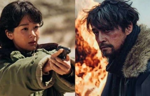 生命树口碑爆！胡歌首集枪战戏震撼，杨紫夺角色热度榜TOP1|骄阳似我|宋威龙|赵丽颖|垂类行业剧|小城大事