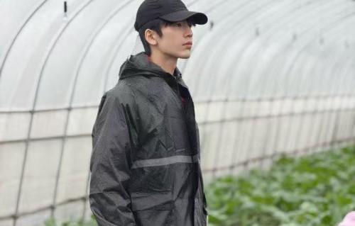 张凌赫凌探未来项目圆满收官
