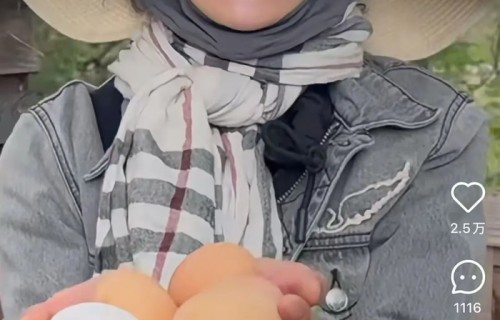 60岁张曼玉法国农村钻鸡窝，跟鸡妈妈道谢拿鸡蛋!
