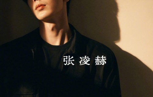 张凌赫从电气工程专业转型成为演员的经历是怎样的？