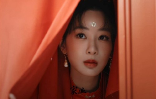 网友们对于杨紫和谢娜的这次互动主要有哪些评价？|家业|李祯|演唱会|花篮|细节