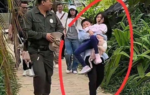 霍启刚带仨娃逛崇左，哥哥举妹妹名场面爆火，害羞小萌娃萌化全网 