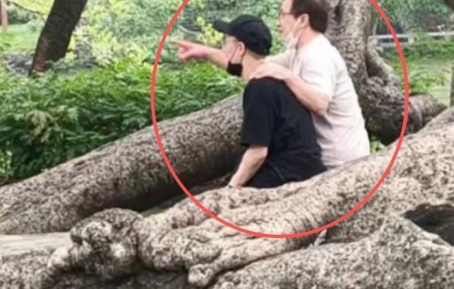 从“一年只通一次电话”到“生日只想和你散散步”：成龙父子古树下的温情画面，戳中了多少家庭不敢说的痛