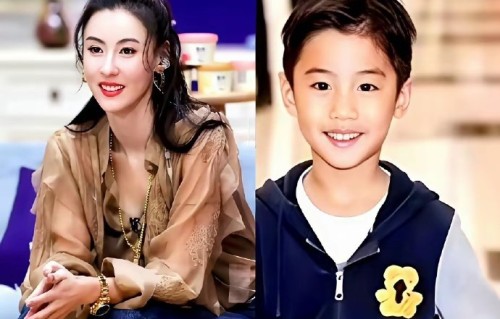 谢霆锋和张柏芝的儿子们各自遗传了父母哪些外貌特征？|基因|母亲|父亲