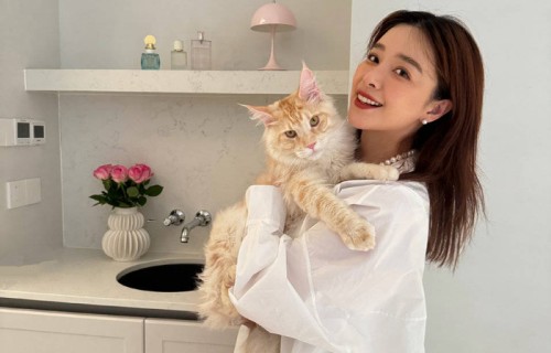 阚清子产后复出老公陪同！手戴鸽子蛋大钻戒心情好，参加浪姐录制