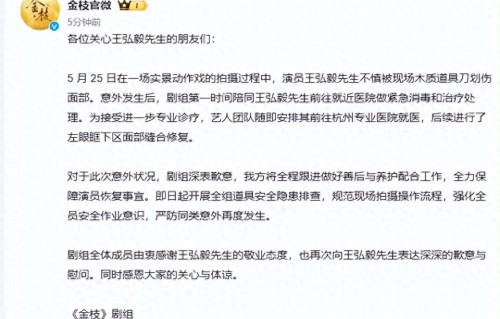 《金枝》剧组发布声明：演员王弘毅在拍摄过程中，不慎被木质道具刀划伤面部，就医后进行了缝合修复，对此深表歉意 
