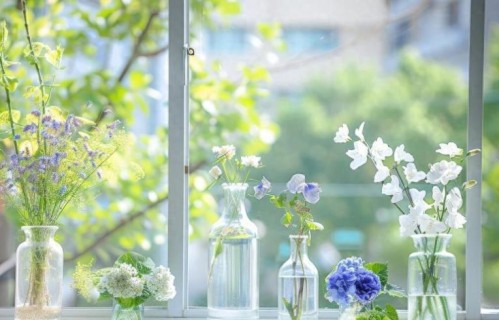 停止内耗的豁达句子，受益匪浅！