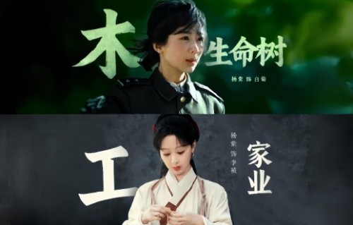 杨紫在塑造锦觅和李祯这两个角色时，表演上有什么异同点？