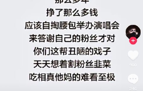 为什么谢娜的演唱会会引发关于“专业vs流量”的争议？