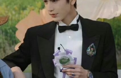 公众和粉丝对张凌赫的成长经历主要有哪些评价？