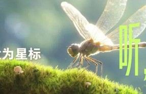 赴，山海温柔|和亲爱的在一起，来客栈解锁满分假期!|何炅|客栈|王鹤棣|秦岚|谭松韵|铁柱