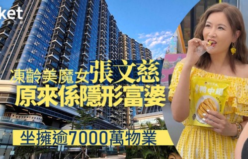 张文慈自揭经济状况称过得不容易，靠弟弟担保按揭买房，没7000万|tvb|亚视|张文慈|按揭|肥猫正传