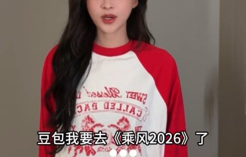 孙怡本人在《乘风2026》赛前表示咨询AI是为了做什么决定？