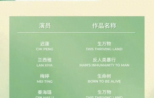 朱媛媛遗作入围白玉兰奖：她用生命最后的光，照亮了《小城大事》 