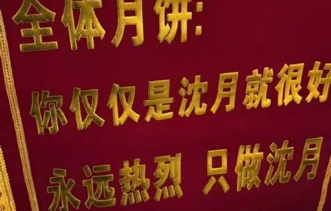 粉丝向沈月送“只是沈月奖”锦旗的举动背后有何深意？