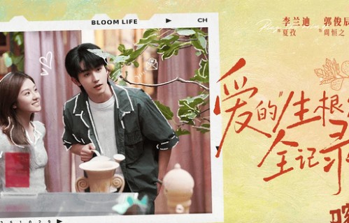 大漠风暖，情歌绵长——评年代治愈剧《喀什恋歌》