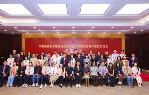 杨幂宋佳等知名演员当选！中国视协新文艺组织和新文艺群体工作委员会换届|臧溪川|王娟|佟丽娅|梅婷|吴军