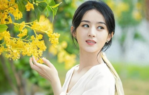 赵丽颖版〈楚乔传〉为何封神?不可替代的演技与敬业_晨曦娱乐