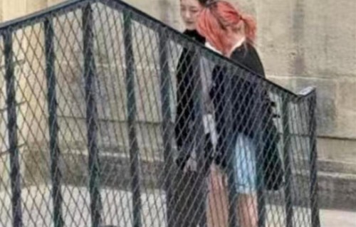 20岁的李嫣在法国被偶遇，侧脸像大S，气质清冷像极了王菲