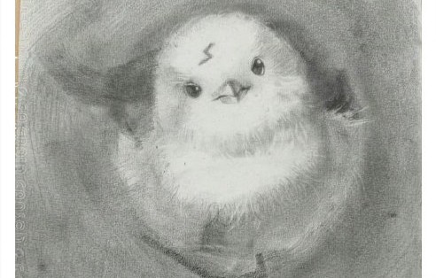 贺峻霖凌晨五点练舞的动态，反映了他怎样的职业态度和艺术追求？|时代少年团|粉丝|舞蹈|舞台|身体