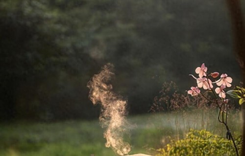 戒掉打卡焦虑，找回生活的掌控感