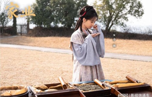 《家业》还在播，杨紫又一部新剧迎来好消息，再现女性励志传奇