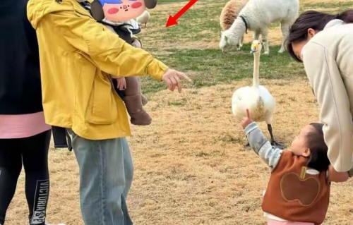 陈伟霆何穗半岁儿子首曝光：肤色堪比白人，眉眼像妈，呆萌随爸