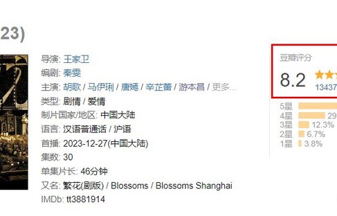 《繁花》被央视点评,只字未提演员演技,却句句说到观众心坎里