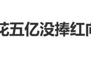 向太自曝花五亿没捧红向佐的原因：太想帮孩子加上轻信导演