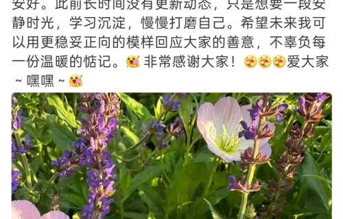 李金铭深夜发声：十二年前的“农村儿媳”闹剧，该体面落幕了|明星到我家|节目|节目组|剧本|家庭