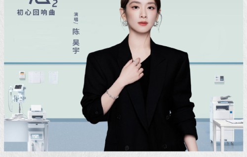 《问心》系列剧集的主要剧情核心是讲述怎样的故事？|问心2|陈昊宇|向云|医生|陈玥