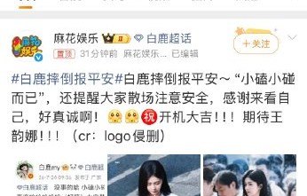 白鹿摔倒事件登上了哪些热搜词条？
