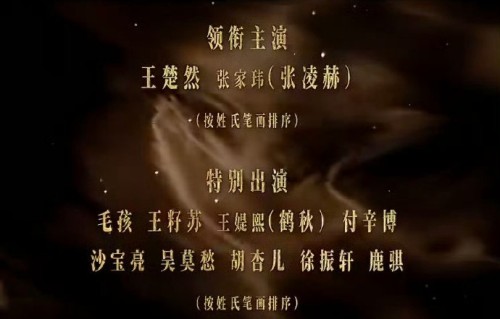 王楚然新剧海报闹乌龙？张凌赫本名张家玮“夹心”C位出道