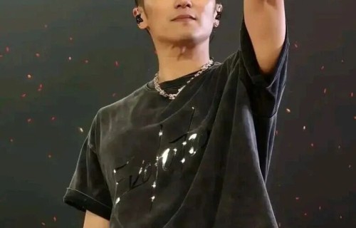 谢霆锋：承接父辈风骨，读懂那句“The show must go on”