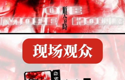 安排！请5位去张峻豪成都现场