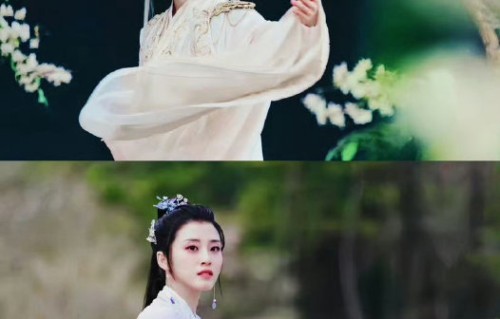 张睿和李若嘉是因哪部戏相识的？|红楼梦|两人|贾迎春|蒋玉菡|恋情