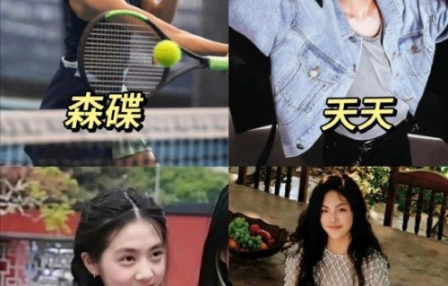 森碟会正式进入娱乐圈出道发展吗？