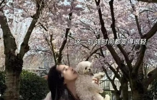 59岁王祖贤粉色外套现身樱花树下，一句话戳中网友：这才是岁月不败美人