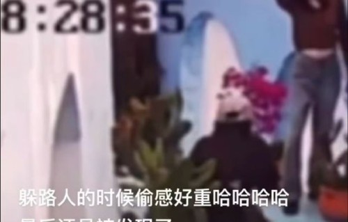 迪丽热巴的粉丝对监控路透事件的反应