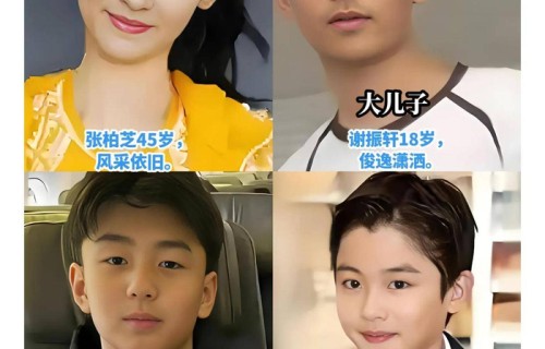 张柏芝三胎生父谜：七年追问，谁的隐私被践踏？_孩子_父亲_谢霆锋